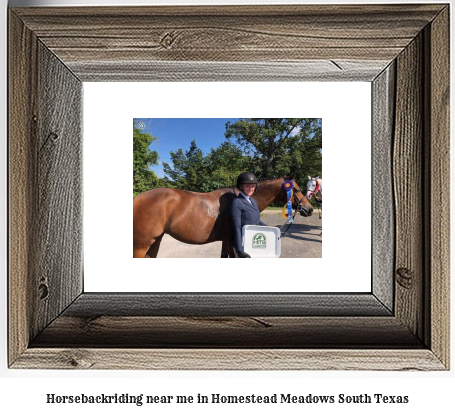 horseback riding near me in Homestead Meadows South, Texas